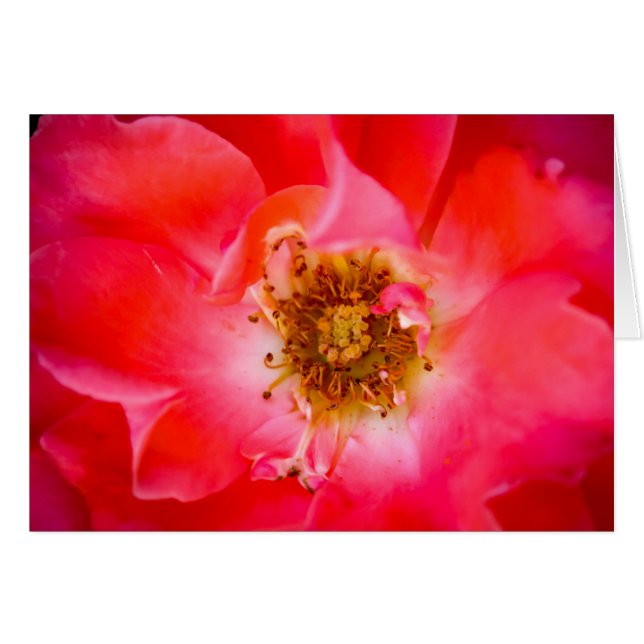 Cartão Um olhar dentro (Frente Horizontal)