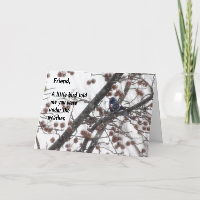 Cartão Um passarinho me disse que você estava debaixo... (Frente)
