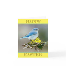 Um Pássaro Azul na Primavera