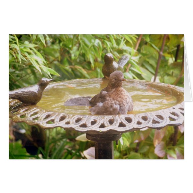 Cartão Um Pássaro Na Banheira (Frente Horizontal)