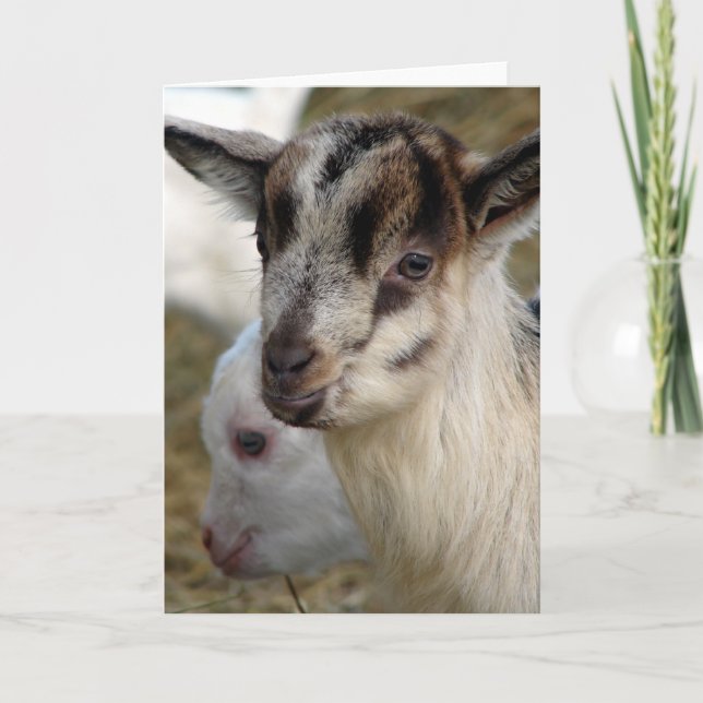 Cartão Um Pequeno Billy Kid Bonito (Frente)