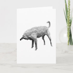 Cartão Um Pequeno Gesto de Alegria