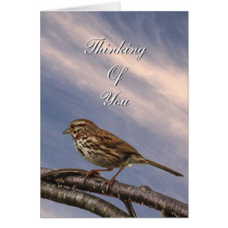 Cartão Um Pequeno Pássaro Marrom