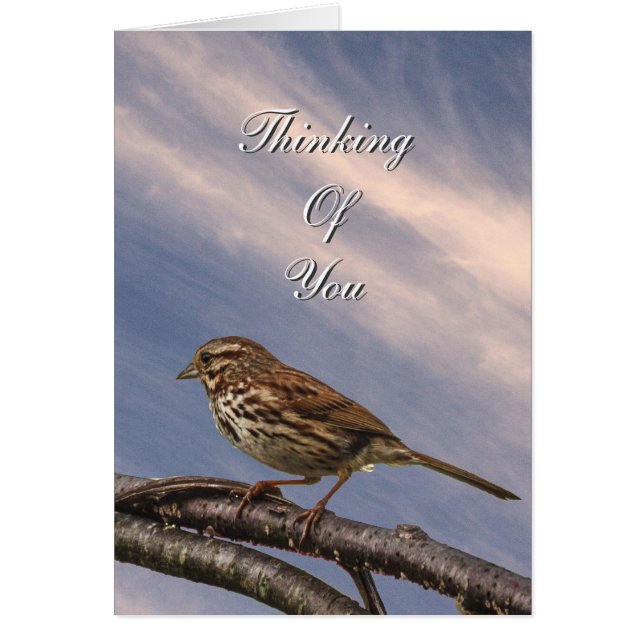 Cartão Um Pequeno Pássaro Marrom (Frente)