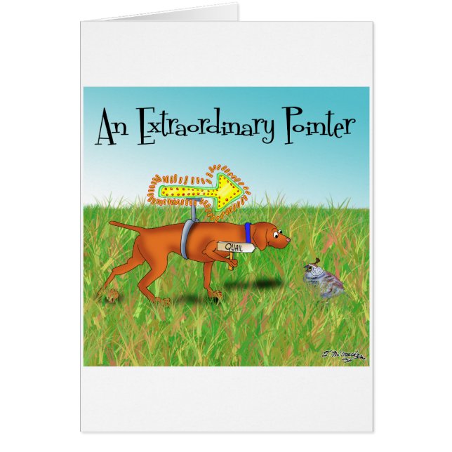 Cartão Um Ponteiro Extraordinário (Frente)