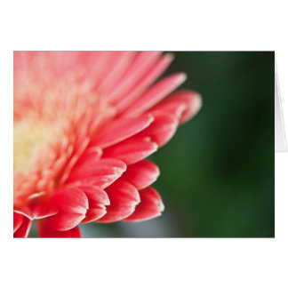 Cartão Um pouco tímido