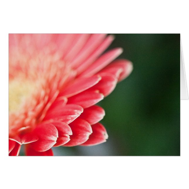 Cartão Um pouco tímido (Frente Horizontal)