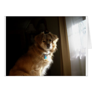 Cartão Um recuperador de conforto