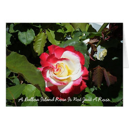 Cartão Um rosa da ilha do balboa é tão original quanto