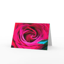 Um Rosa É Só Um Rosa