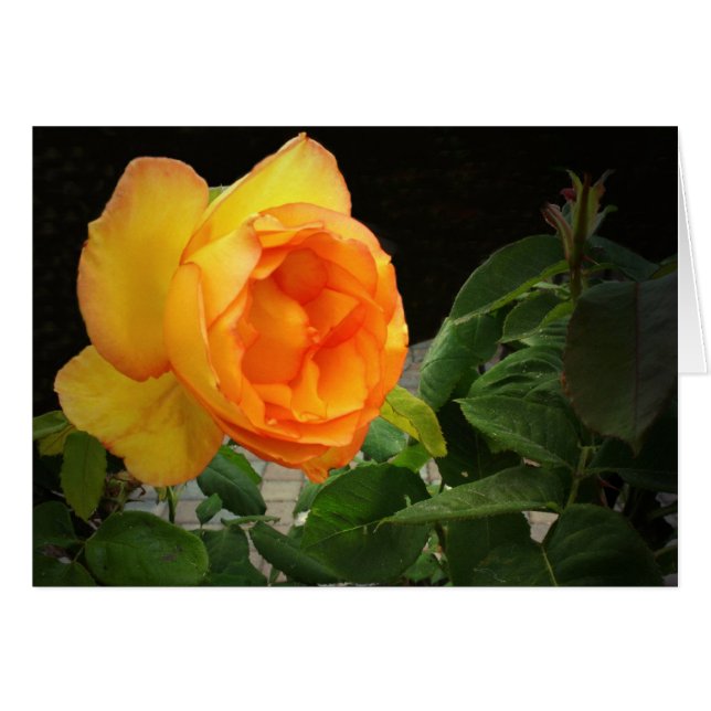 Cartão Um rosa para meu irmão (Frente Horizontal)