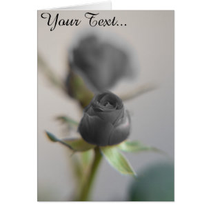 Cartão Um rosa preto