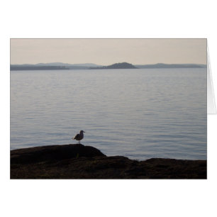 Cartão Um Sonho de Seagull