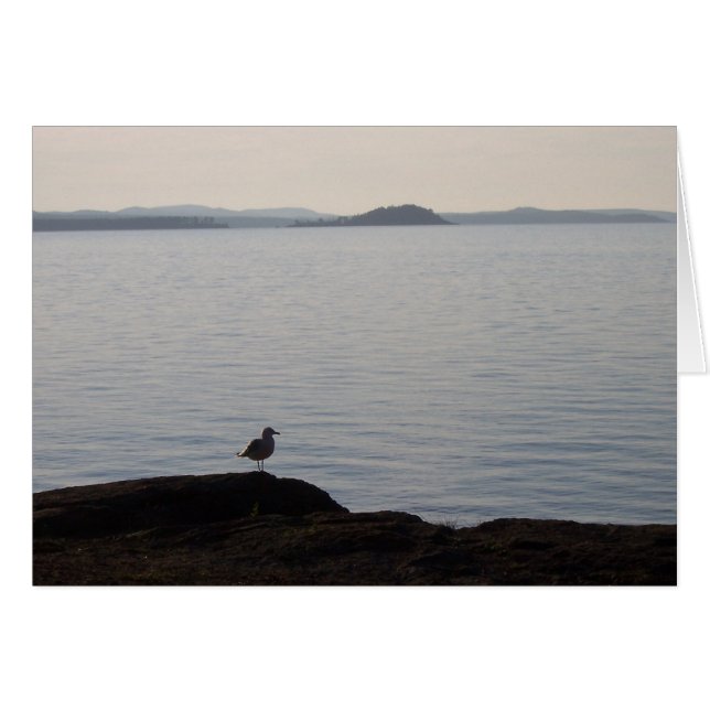 Cartão Um Sonho de Seagull (Frente Horizontal)