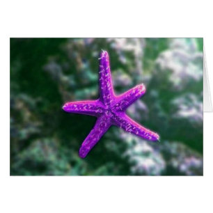 Cartão Um Starfish Roxo