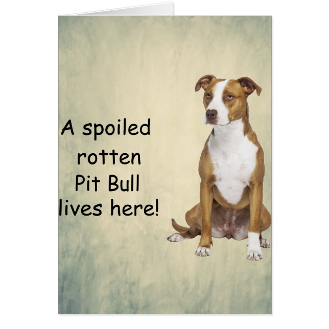 Cartão Um Touro Rachado Morre aqui (Frente)