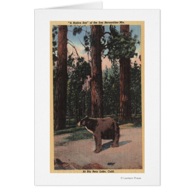 Cartão Um Urso Marrom na Floresta (Frente)