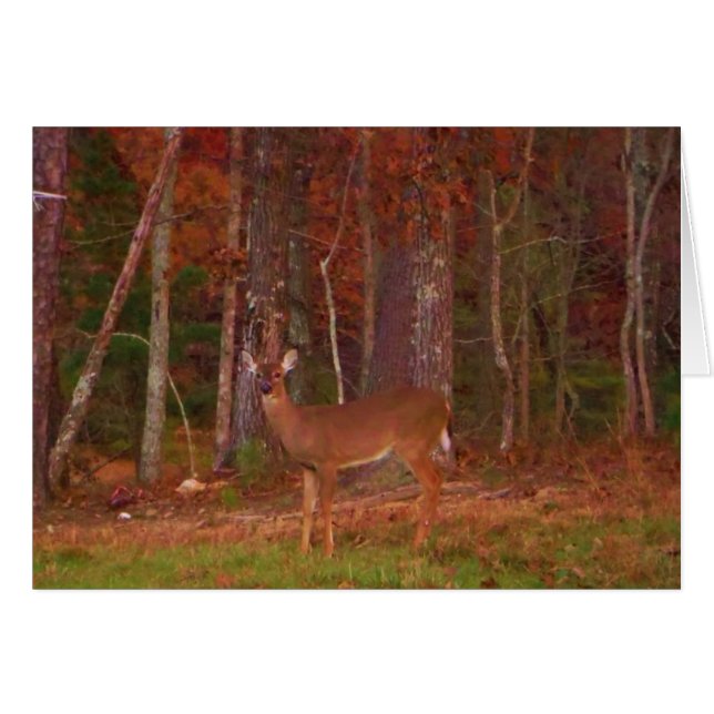 Cartão Um veado no lago Arrohouad (Frente Horizontal)