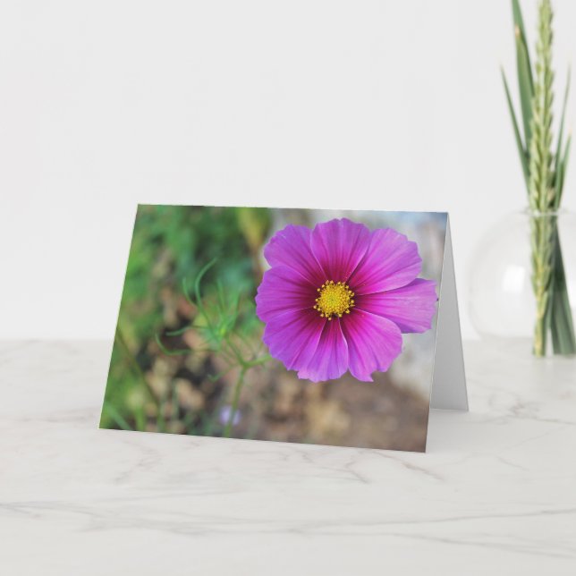 Cartão Um ventilador de Dentro de galáxia (Frente)