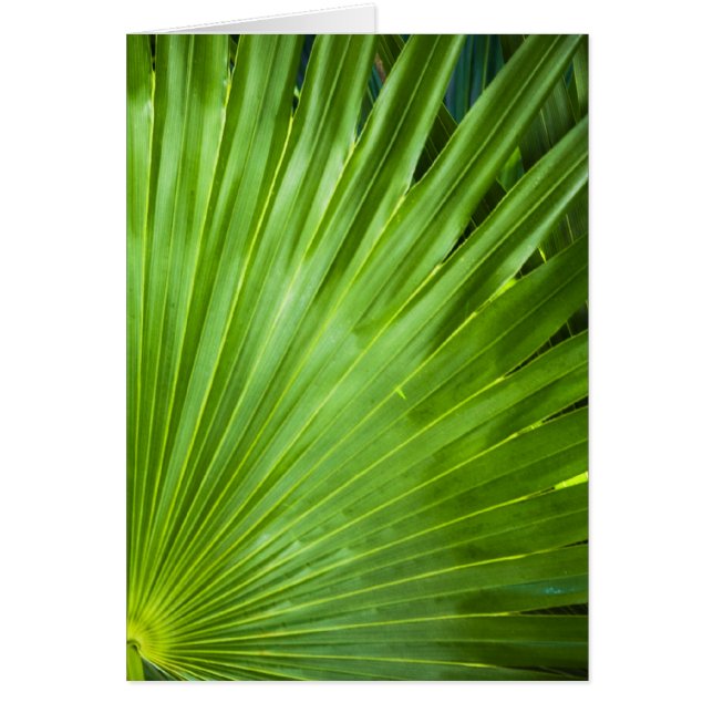 Cartão Um ventilador verde (Frente)