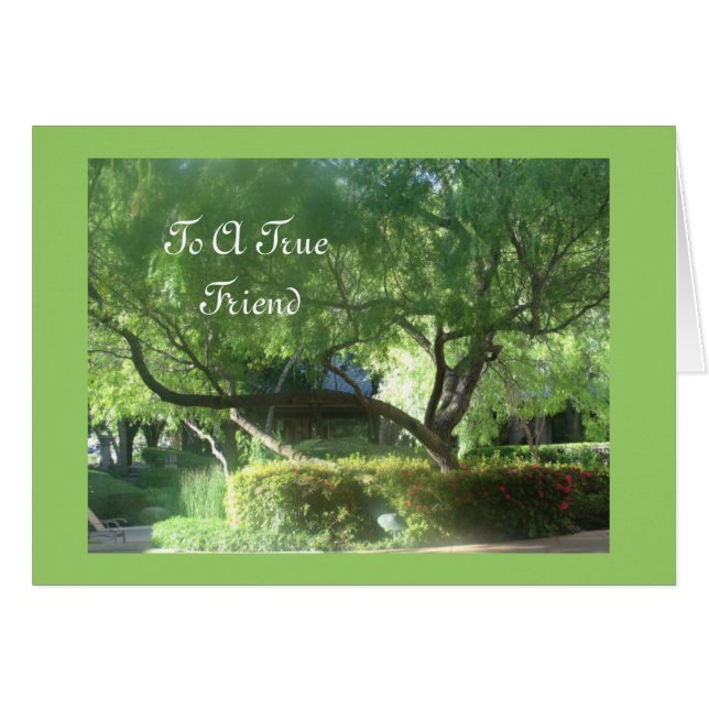 Cartão Um verdadeiro amigo (Frente Horizontal)