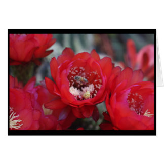 Cartão Uma abelha e um cacto