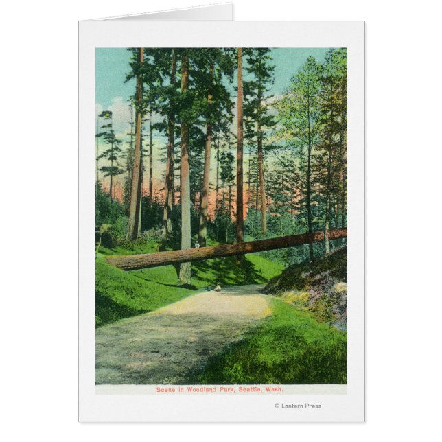 Cartão Uma árvore falhada na cena do Parque Woodland (Frente)