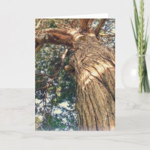 Cartão Uma árvore mais bonita