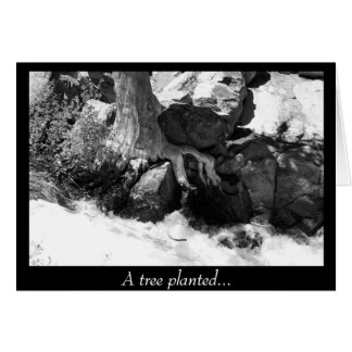 Cartão Uma árvore plantada...