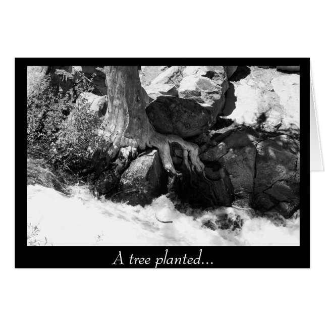 Cartão Uma árvore plantada... (Frente Horizontal)