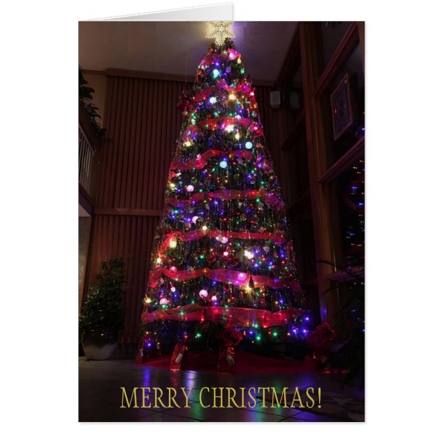 Cartão Uma bela árvore de Natal com reflexões (Frente)