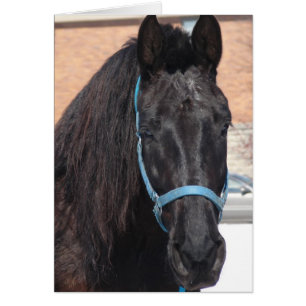 Cartão Uma Beleza Negra