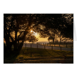 Cartão Uma Boa Noite Em Whalehead