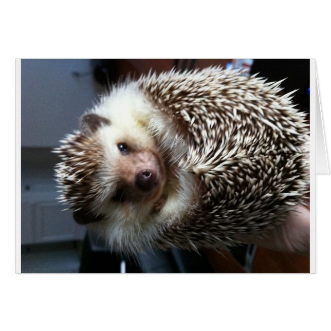 Cartão Uma bola de Spike (Frente Horizontal)