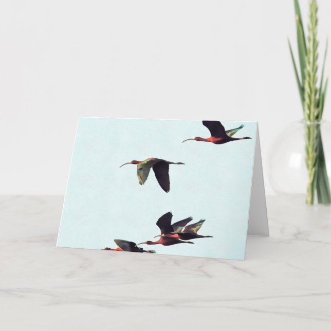 Cartão Uma borda de Ibises em Voo (Frente)