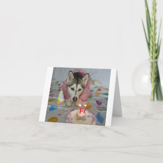 Cartão Uma carta de aniversário com um cão adorável