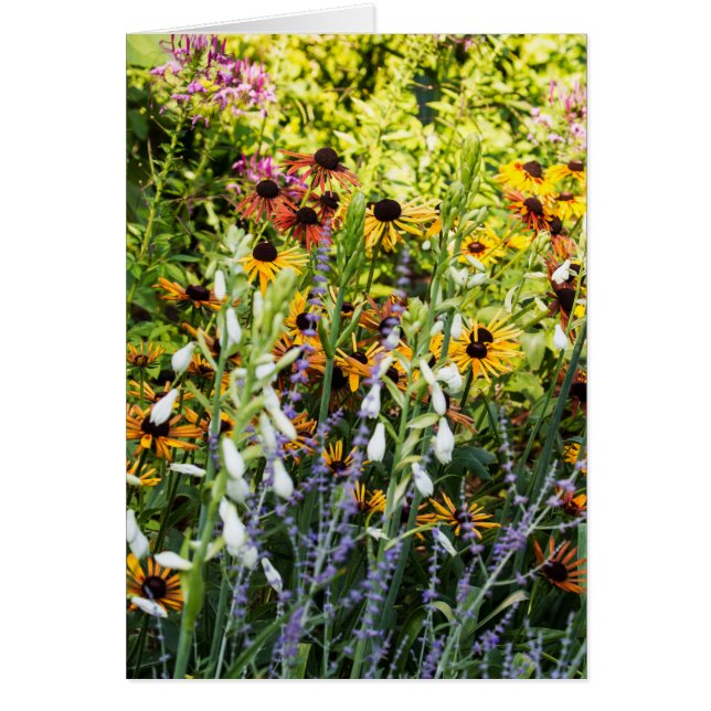 Cartão Uma Corrida de Cores (Frente)