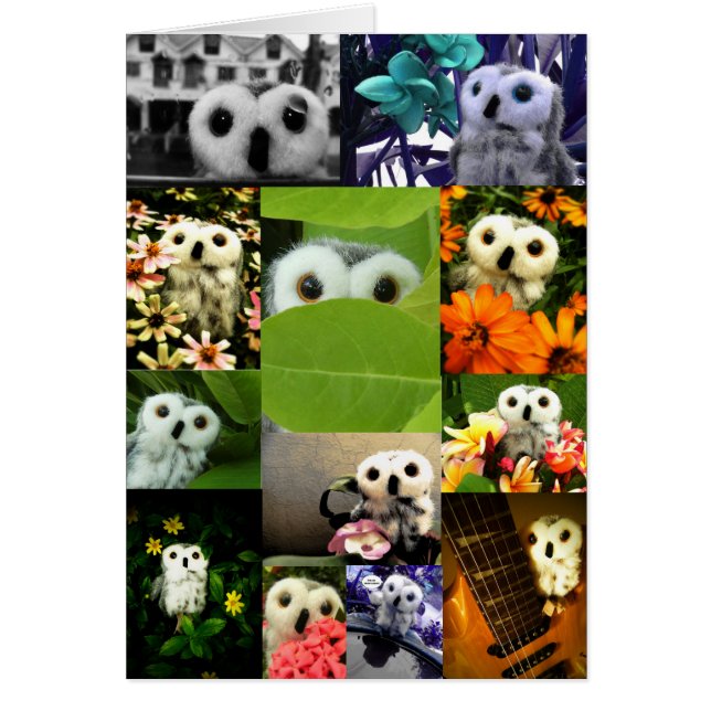 Cartão Uma Coruja Chamada Ophelia (Frente)