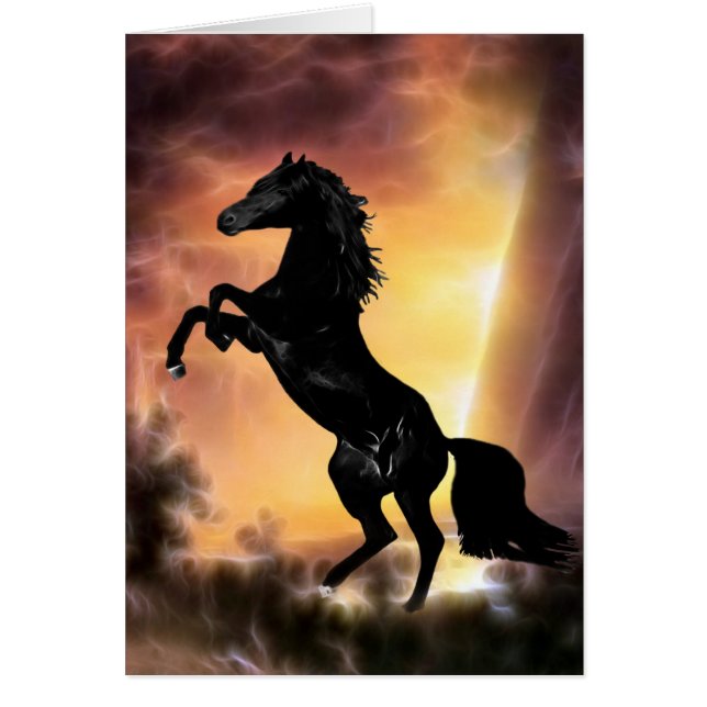 Cartão Uma criação de cavalos frisesianos (Frente)