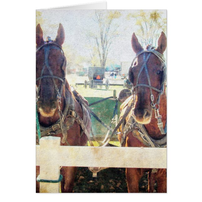 Cartão Uma Equipe de Dois Cavalos (Frente)