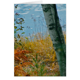 Cartão Uma escova com outono