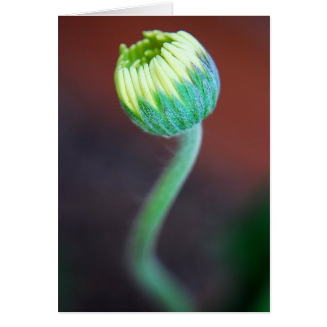 Cartão Uma estação nova (Frente)