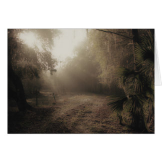 Cartão Uma estrada secundária em Florida