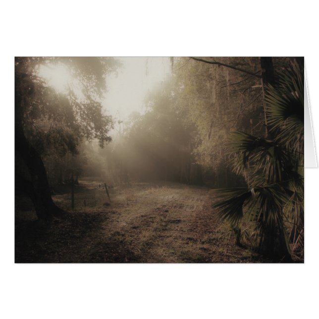 Cartão Uma estrada secundária em Florida (Frente Horizontal)