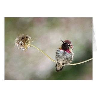 Cartão uma estrela era nascer