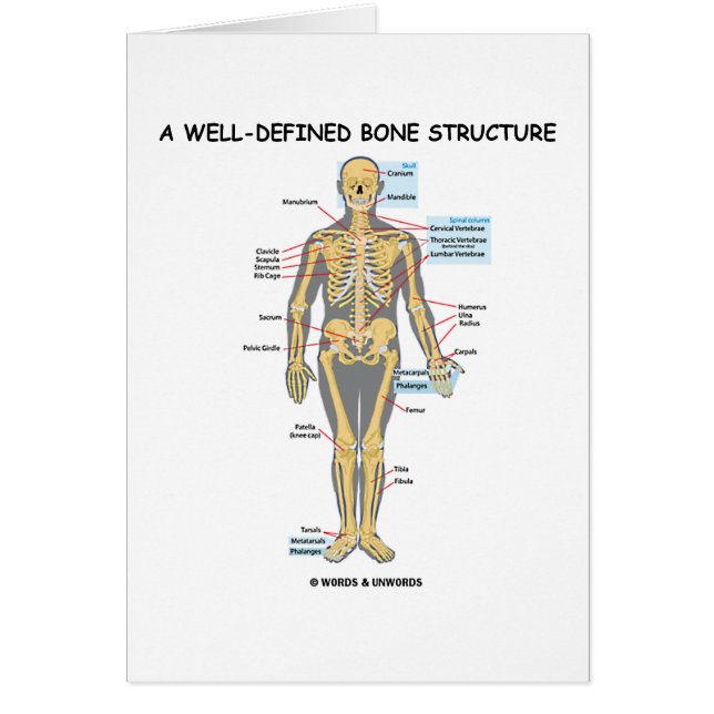 Cartão Uma estrutura bem definida do osso (esqueleto (Frente)