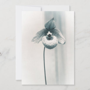 Cartão Uma Flor de Orquídea