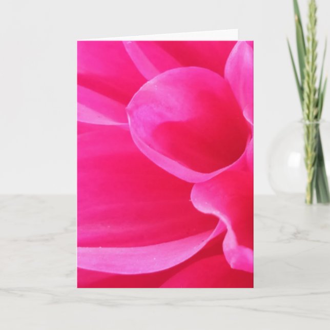Cartão Uma Flor Delilah de Fechamento Vibrante (Vazio) (Frente)