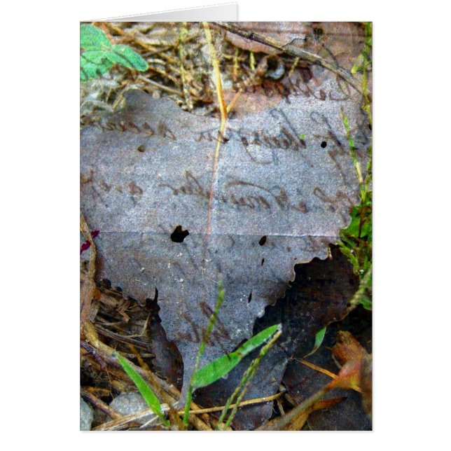 Cartão Uma Folha (Frente)