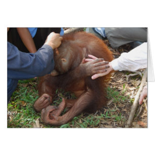 Cartão Uma Mão Ajudante para Orangutanos